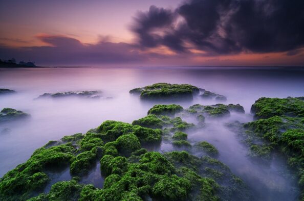 Bali