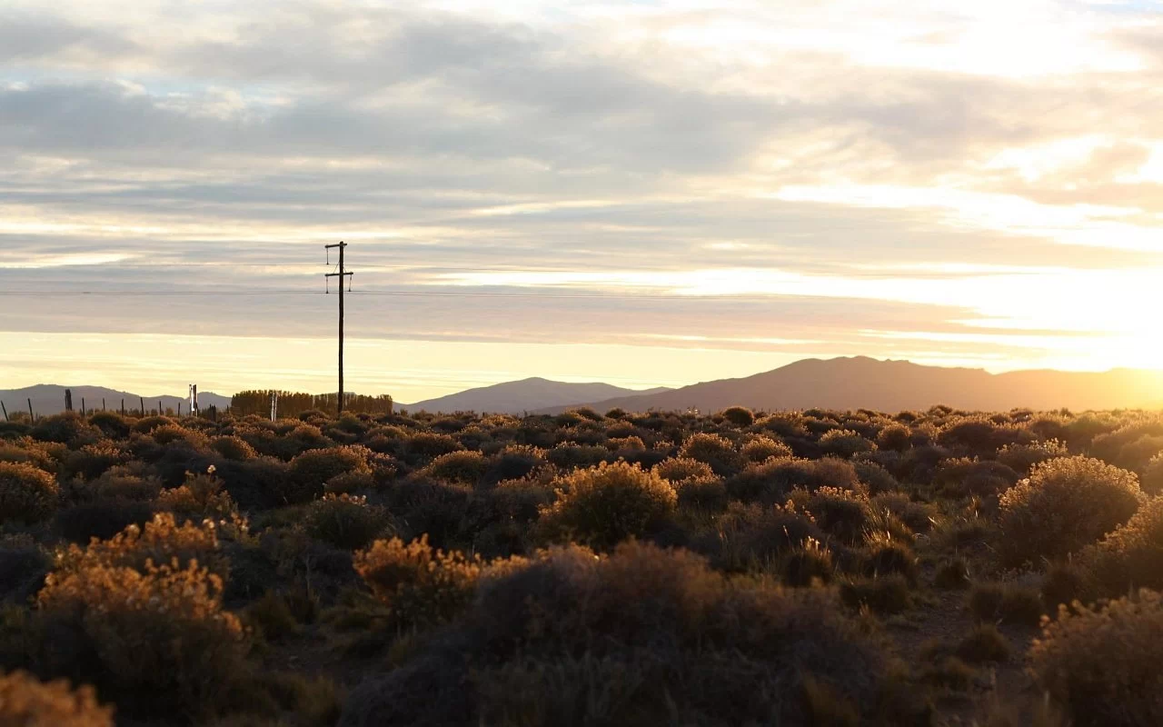 Пампаси 30 Гранд тур
