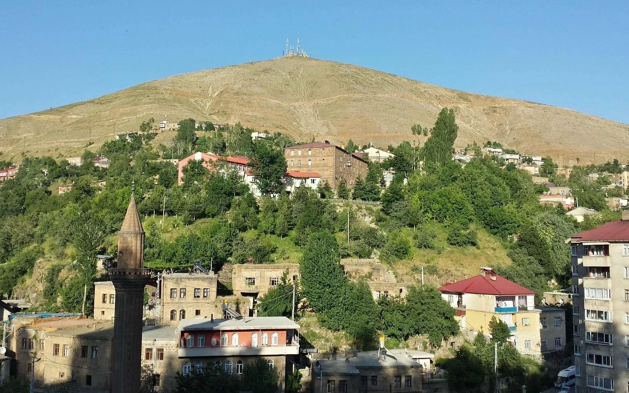 Бітліс