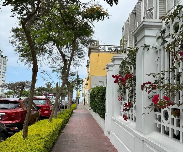 Чарівна столиця Перу Ліма: що треба знати туристу 4 Гранд тур Чарівна столиця Перу Ліма: що треба знати туристу 3 Гранд тур