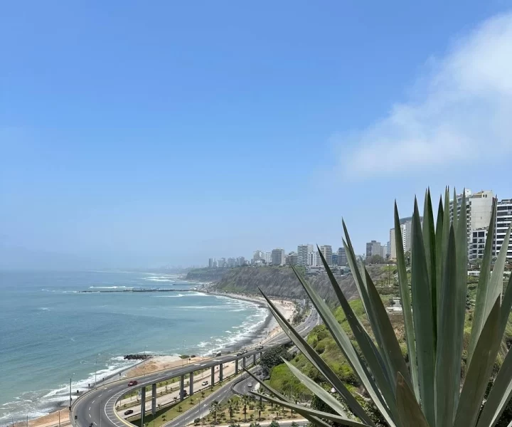 Чарівна столиця Перу Ліма: що треба знати туристу 10 Гранд тур Чарівна столиця Перу Ліма: що треба знати туристу 9 Гранд тур