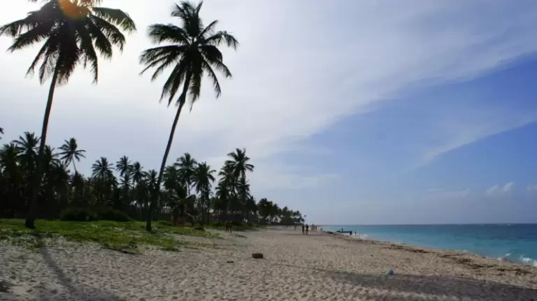 Коли їхати в Домінікану? Погода, сезони та ціни. Повний гід для українців 2025 🌴☀️