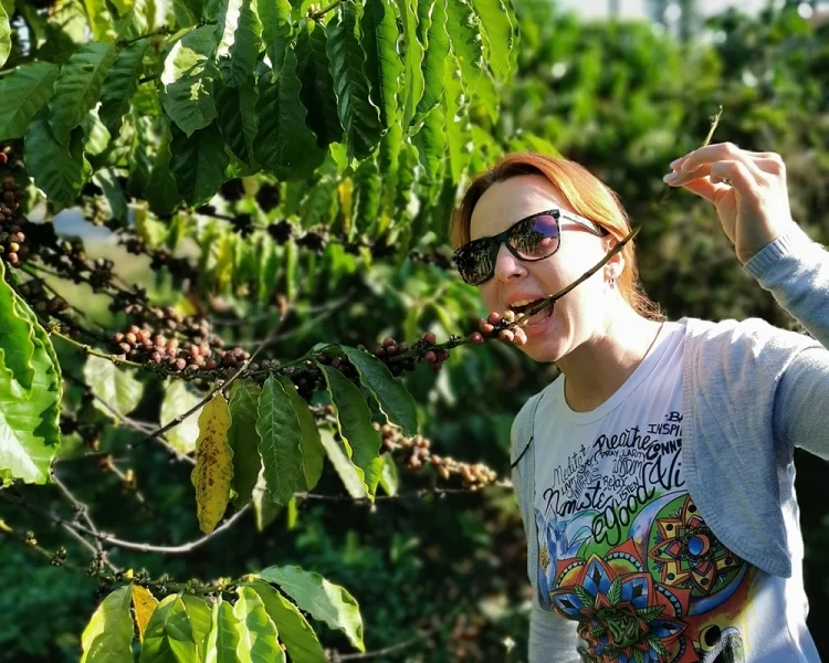 Далат-територія вічної весни 25 Гранд тур