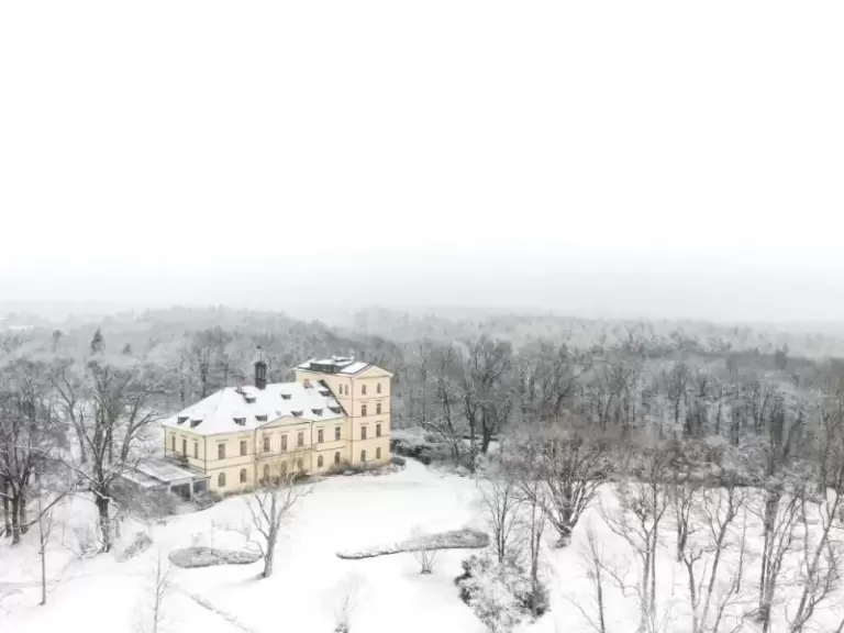 Екологічний туризм: готелі, авіакомпанії, аеропорти