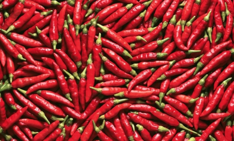 Експерти назвали які продукти усувають джетлаг 3