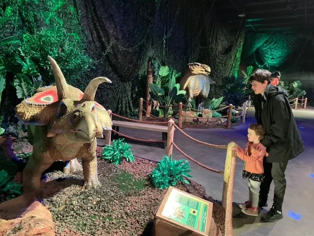 Family Time: куди сходити з дітьми в Каліфорнії 13 Гранд тур