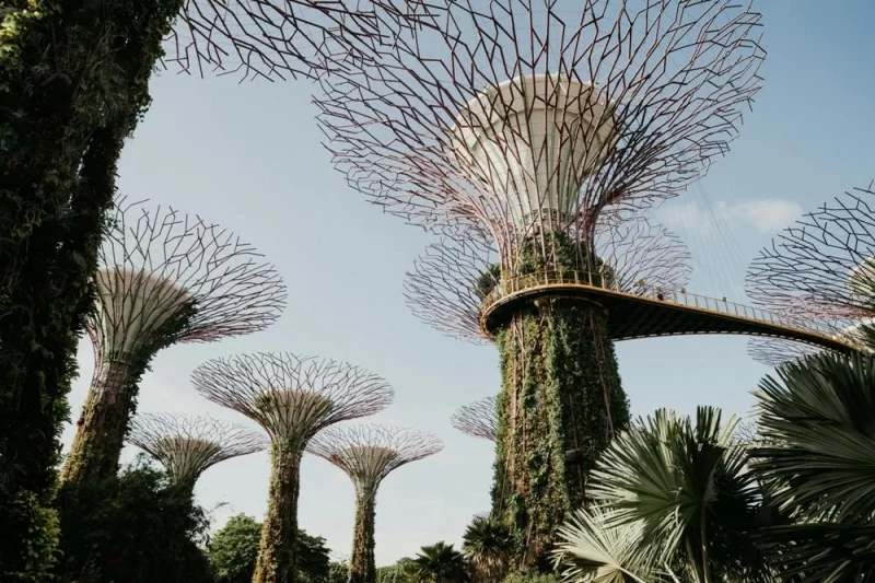 Футуристичні Супердерева в Gardens by the Bay вночі