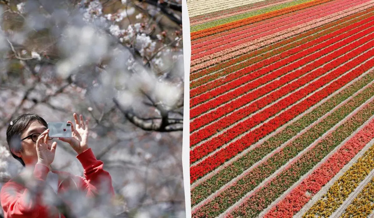 Квітковий туризм став одним із головних трендів 2026 року: 5 найкращих місць у світі для подорожей 1 Гранд тур Квітковий туризм став одним із головних трендів 2026 року: 5 найкращих місць у світі для подорожей