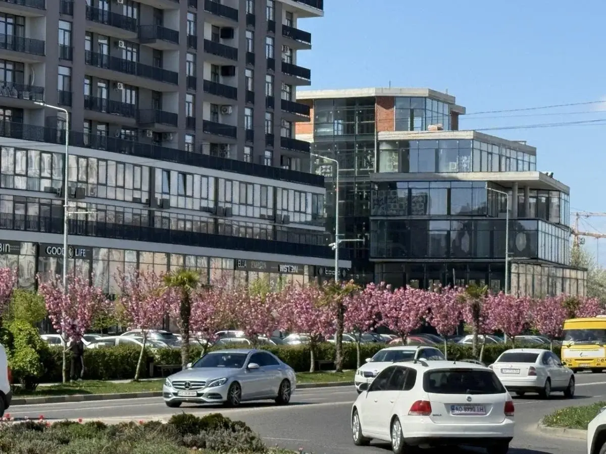 Наближається пік "рожевої весни": в Ужгороді почали масово цвісти сакури (фото) 2 Гранд тур Наближається пік "рожевої весни": в Ужгороді почали масово цвісти сакури (фото)