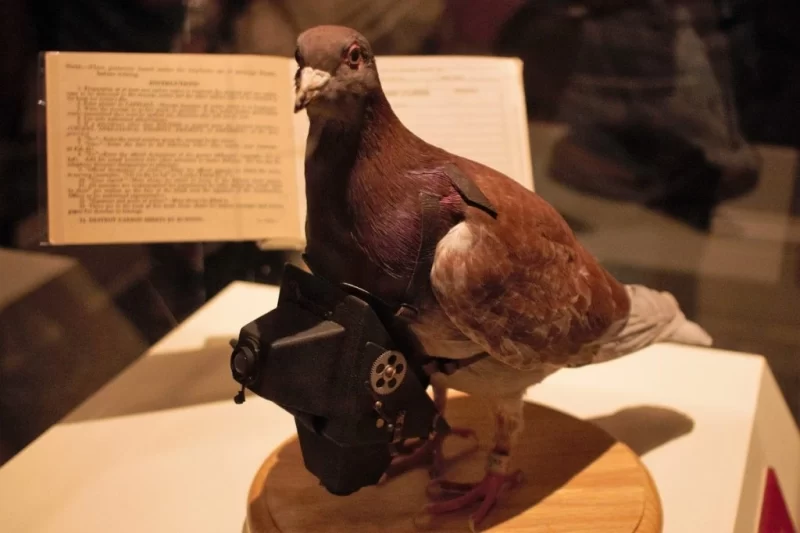 Найнезвичайніші музеї світу: свіжа десятка 8 Гранд тур Найнезвичайніші музеї світу: свіжа десятка 7 Гранд тур