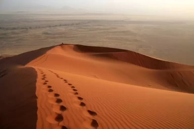 Не Каміно єдиним: 15 легендарних стежок світу, які варто пройти хоча б раз у житті 🚶‍♂️🗺️
