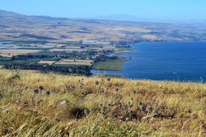 Панорамний вид на Галілейське море з пагорбів