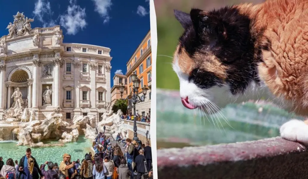 Не тільки натовпи і спека: 10 причин відмовитися від літньої відпустки в Європі 1 Гранд тур Не тільки натовпи і спека: 10 причин відмовитися від літньої відпустки в Європі