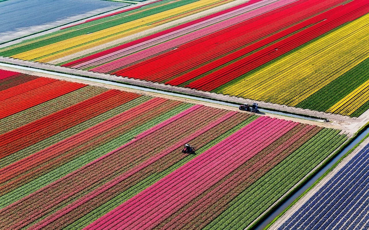 Netherlands