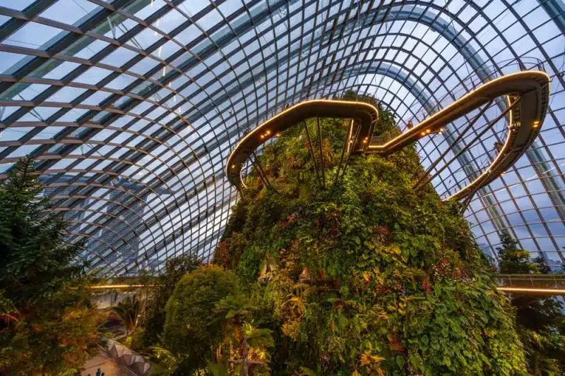 Сад метеликів всередині терміналу аеропорту Чангі