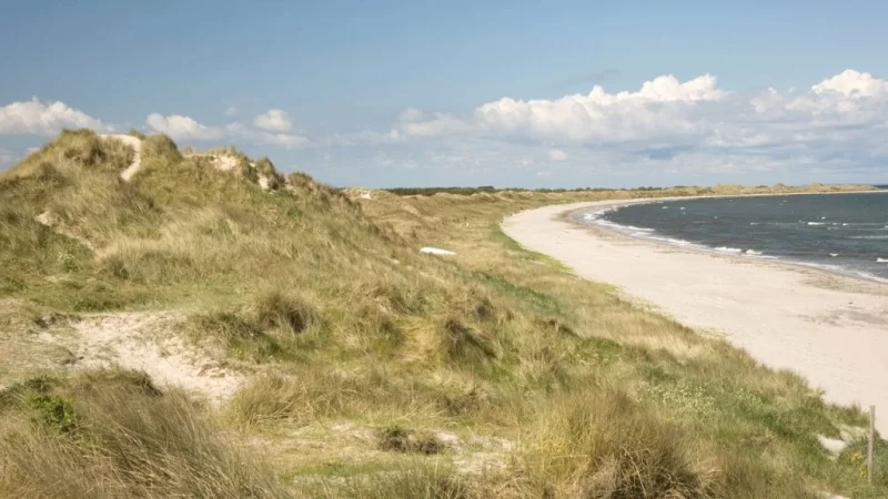 Підкоряючи Лесі: що варто подивитися на загадковому острові? 2 Гранд тур Підкоряючи Лесі: що варто подивитися на загадковому острові? 1 Гранд тур