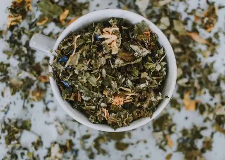 Подорож на Цейлон за цейлонським чаєм