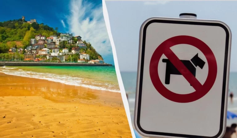 Популярні курорти в Іспанії та Португалії вводять нові суворі обмеження для туристів 8 Гранд тур