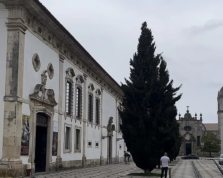 Португальська Венеція і супер фотогенічна Кошта-Нова: гайд по Авейру і його околицях 35 Гранд тур