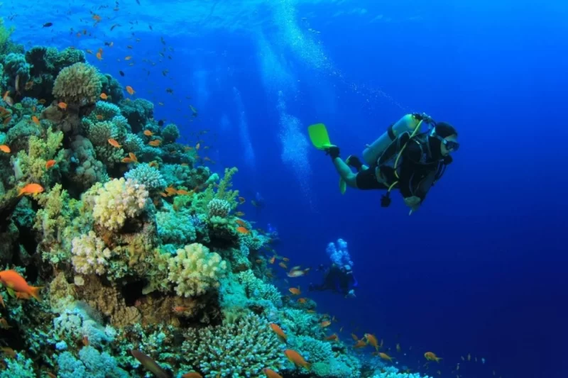 Розкішний перепочинок від швидкості життя: Emerald Maldives Resort & SPA 9 Гранд тур