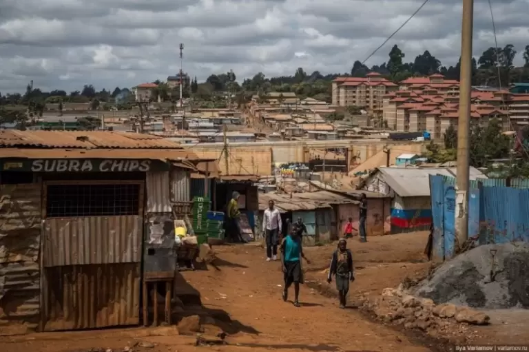 Сафарі, нетрі та найкращі марафонці: що подивитися в Кенії?