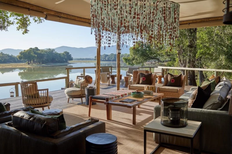 Сім'я слонів проходить через лобі готелю Mfuwe Lodge