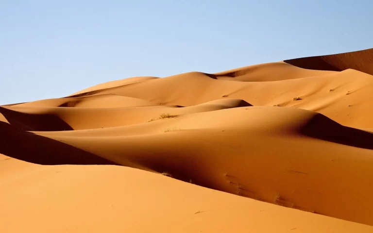 Сахара