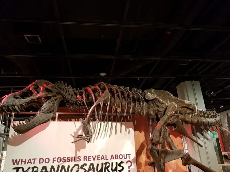 Що подивитися у Вашингтоні: екскурсія знаковими місцями 9 Гранд тур