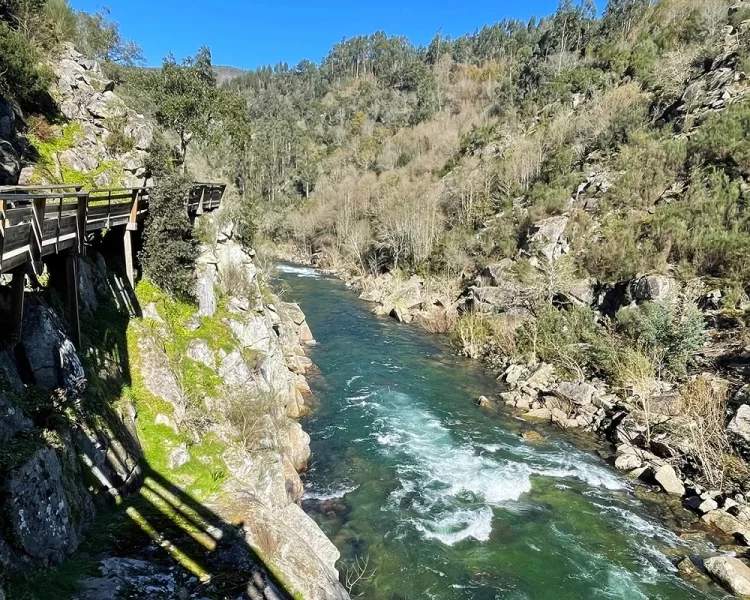 Що робити взимку в Португалії? 16 Гранд тур Що робити взимку в Португалії? 15 Гранд тур
