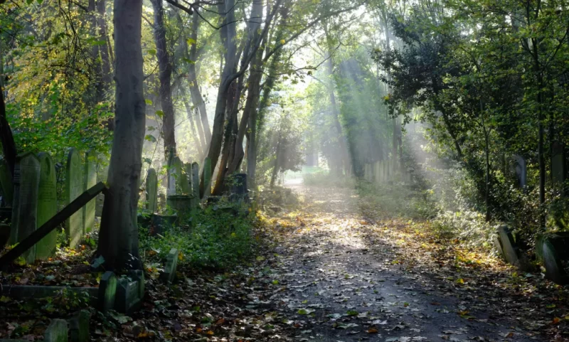 Що таке "Темний туризм" і які місця відвідати? 23 Гранд тур