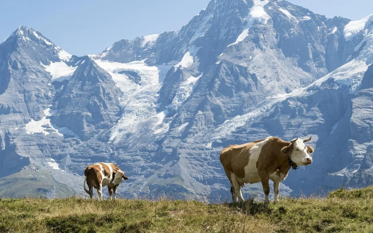 Switzerland