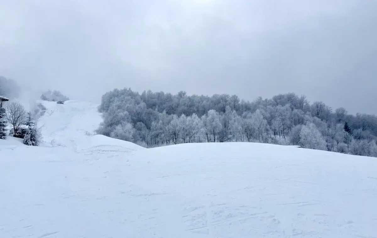 Сніголавинна небезпека в Україні: туристам вказали, де треба бути обережними 1 Гранд тур Сніголавинна небезпека в Україні: туристам вказали, де треба бути обережними