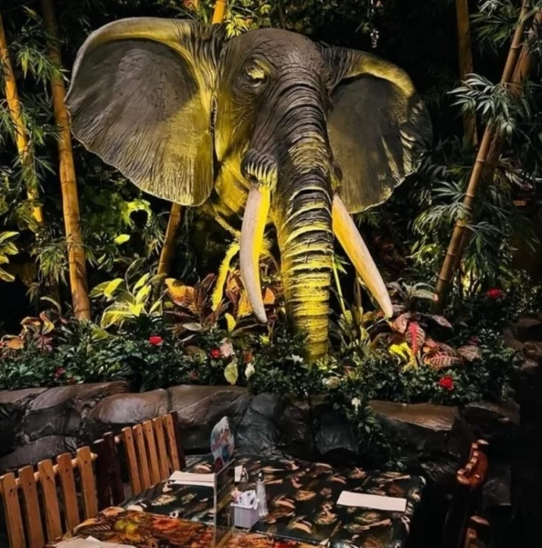 Тематичні кафе світу, в яких варто побувати 10 Гранд тур Тематичні кафе світу, в яких варто побувати 9 Гранд тур