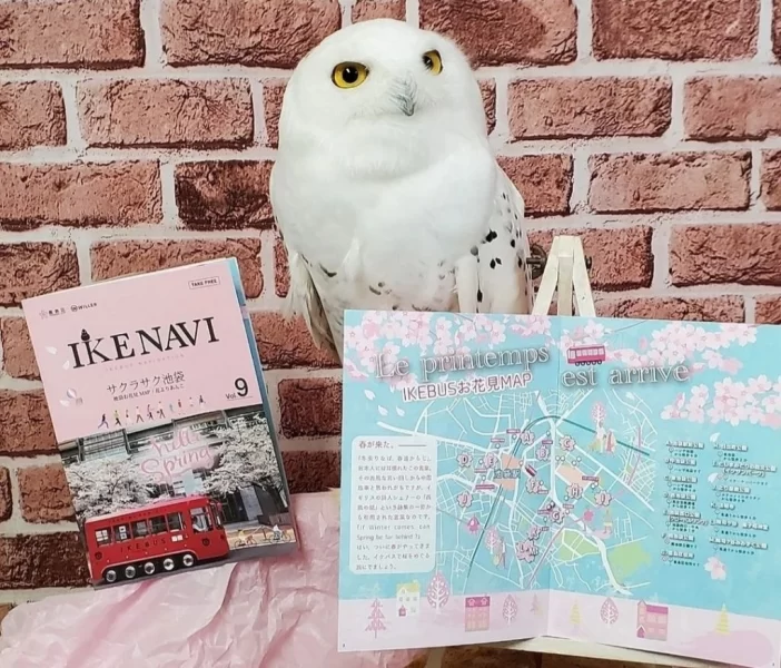 Тематичні кафе світу, в яких варто побувати 18 Гранд тур Тематичні кафе світу, в яких варто побувати 17 Гранд тур