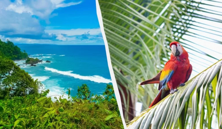 Time Out назвав недооцінені туристичні напрямки у світі, куди можна втекти від натовпів 61 Гранд тур