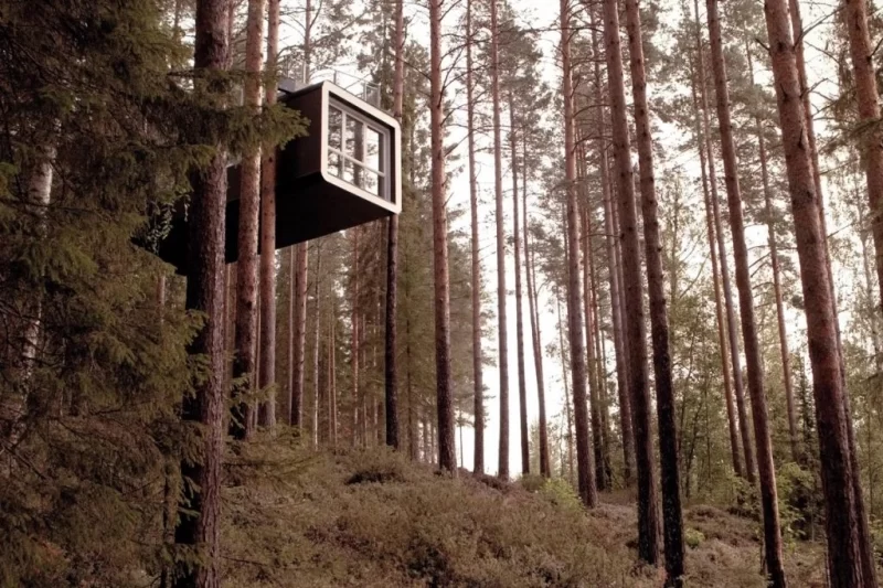 Дзеркальний будиночок на дереві в готелі Treehotel