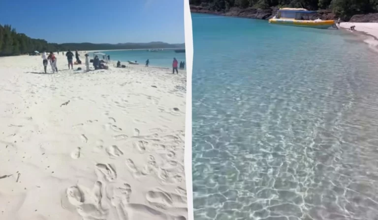 Турист відвідав "найкращий пляж у світі" і був здивований тим, що там знайшов (відео) 37 Гранд тур