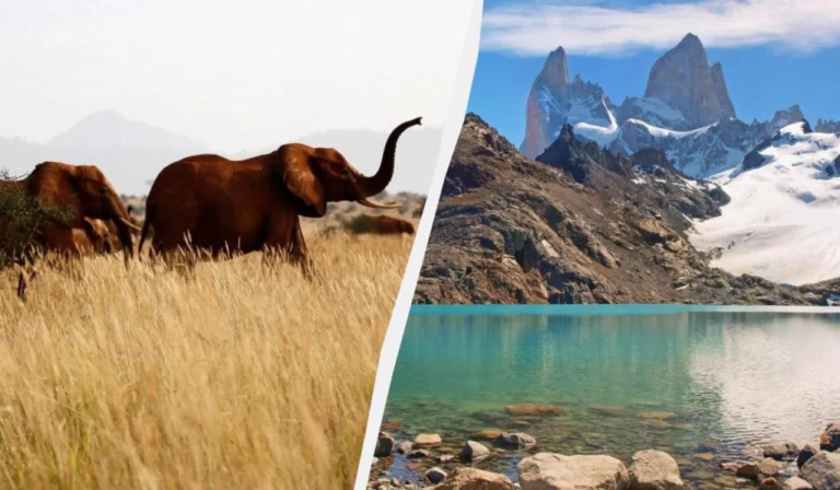 Туристам розповіли про подорожі, які краще бронювати на рік наперед 44 Гранд тур