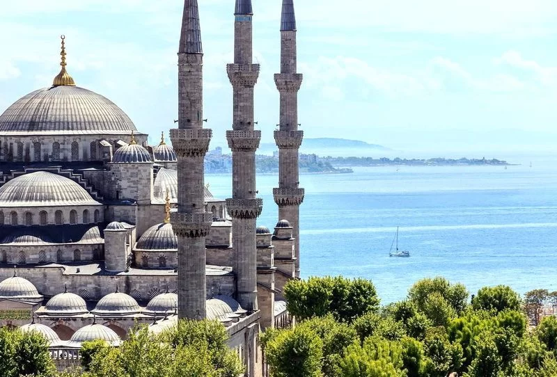 turkey