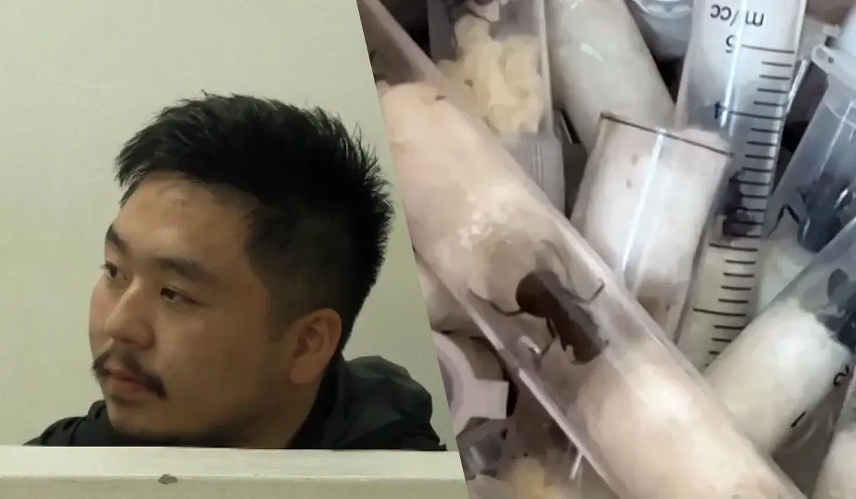 У Кенії затримали китайця за контрабанду понад 2 тисяч живих мурах 1 Гранд тур У Кенії затримали китайця за контрабанду понад 2 тисяч живих мурах