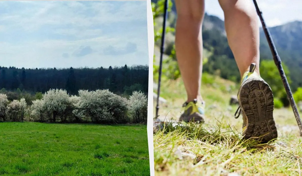 Україна стане частиною одного з найвідоміших туристичних маршрутів Європи 1 Гранд тур Україна стане частиною одного з найвідоміших туристичних маршрутів Європи