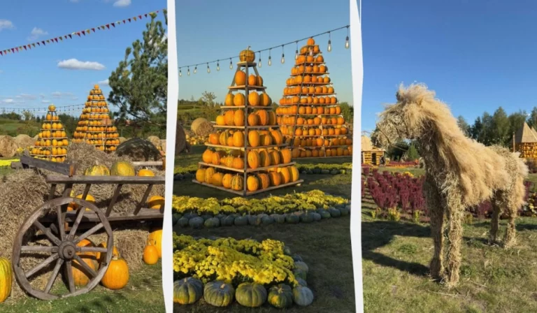 В "Добропарку" під Києвом з'явилася грандіозна гарбузова локація (фото, відео) 56 Гранд тур