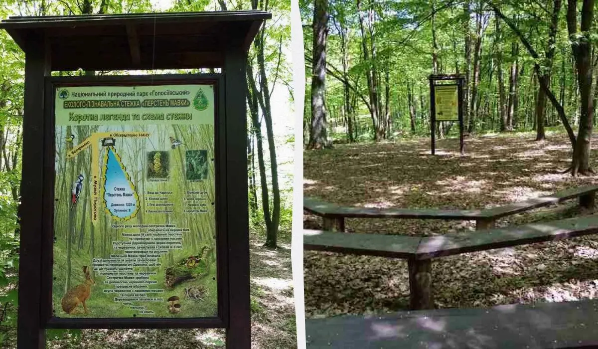 В столичному Голосіївському лісі з'явилася нова екостежка, що ідеально підходить для дітей 1 Гранд тур В столичному Голосіївському лісі з'явилася нова екостежка, що ідеально підходить для дітей