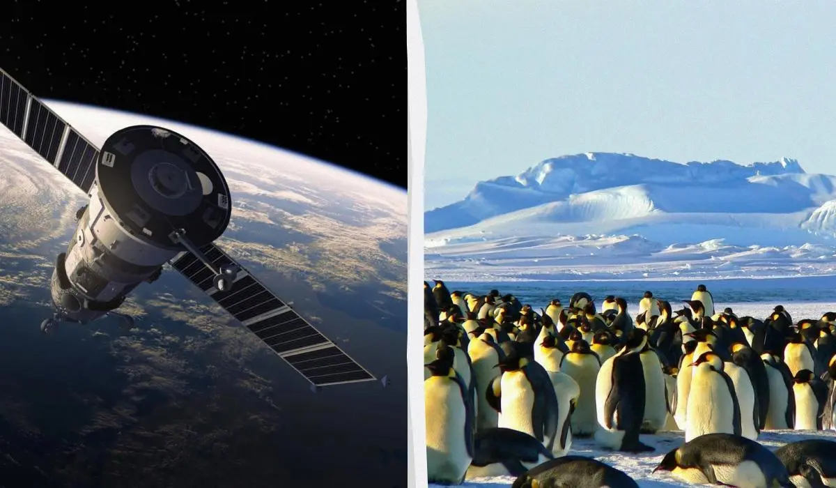 Записи 9 Гранд тур