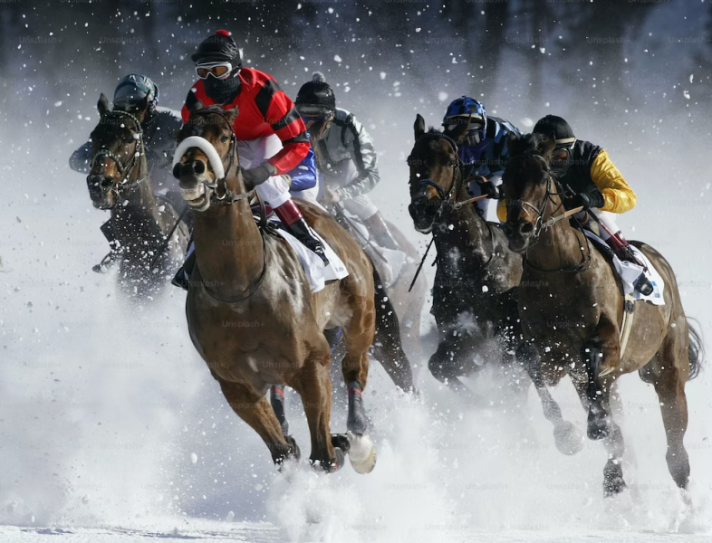 White Turf: скачки, лід і гірські вершини  5