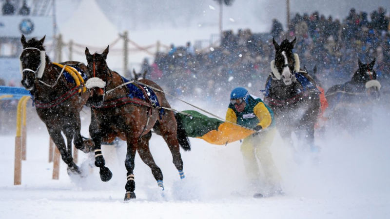 White Turf: скачки, лід і гірські вершини  3