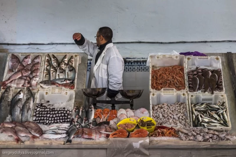 Їдемо в Касабланку: пам'ятки та інші нюанси міста 8 Гранд тур Їдемо в Касабланку: пам'ятки та інші нюанси міста 7 Гранд тур