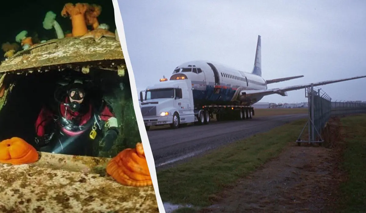 Затоплений Boeing 737 став новим рифом та популярним місцем для дайвінгу (відео) 1 Гранд тур Затоплений Boeing 737 став новим рифом та популярним місцем для дайвінгу (відео)